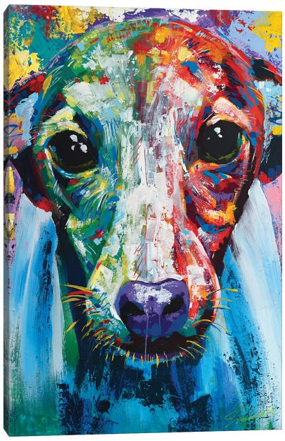 Italian Greyhound I Canvas Art Print - Tadaomi Kawasaki