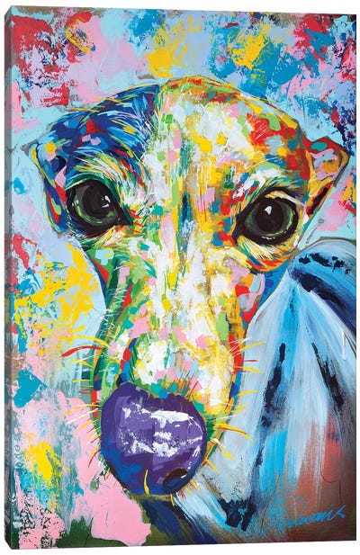 Italian Greyhound II Canvas Art Print - Italian Greyhounds