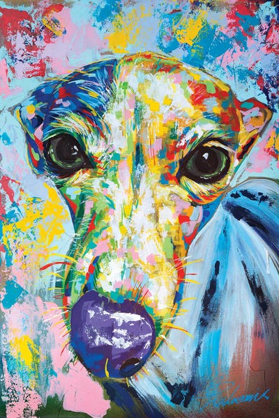 Italian Greyhounds: Italian Greyhound II by Tadaomi Kawasaki