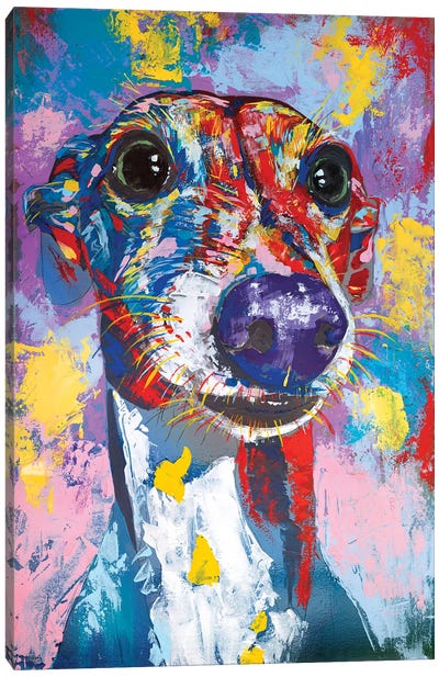 Italian Greyhound III Canvas Art Print - Italian Greyhounds