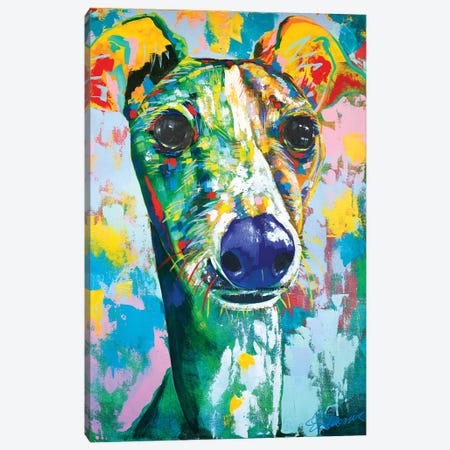 Italian Greyhound IV Canvas Print #TKA18} by Tadaomi Kawasaki Canvas Wall Art