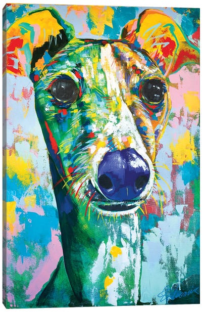 Italian Greyhound IV Canvas Art Print - Tadaomi Kawasaki
