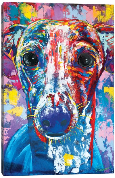 Italian Greyhound V Canvas Art Print - Italian Greyhounds