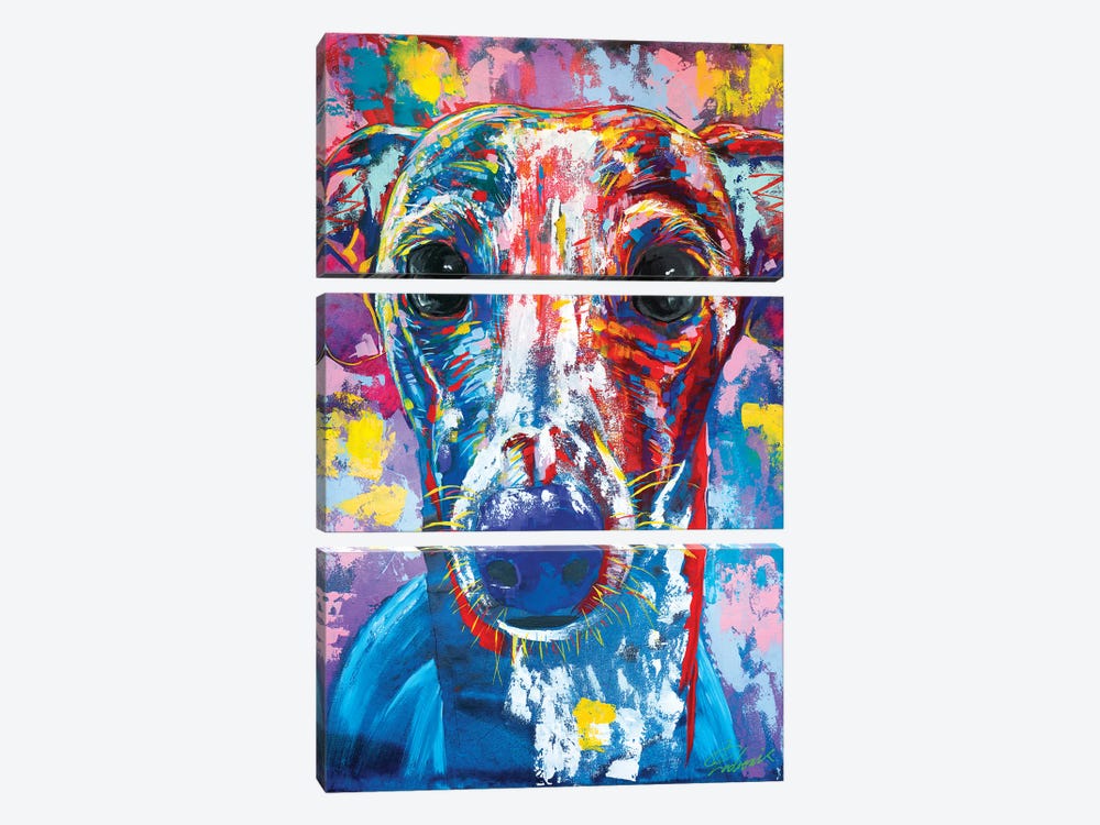 Italian Greyhound V by Tadaomi Kawasaki 3-piece Canvas Art