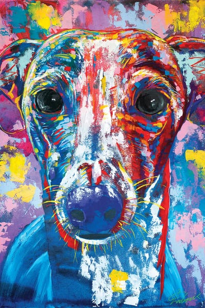 Italian Greyhounds: Italian Greyhound V by Tadaomi Kawasaki