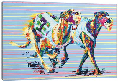 Whippet - Speed Series Canvas Art Print - Italian Greyhounds