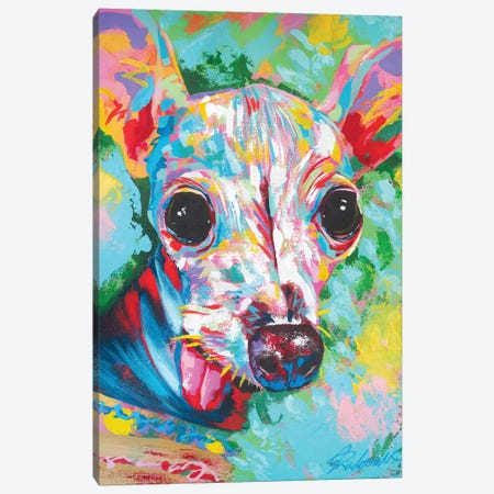 Italian Greyhound 06 Canvas Print #TKA44} by Tadaomi Kawasaki Canvas Art