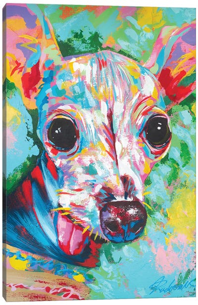 Italian Greyhound 06 Canvas Art Print - Italian Greyhounds