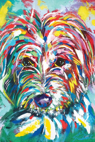 Havanese: Dog I by Tadaomi Kawasaki