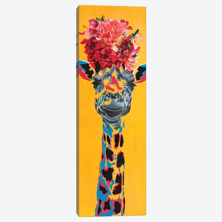 Giraffe II Canvas Print #TKA49} by Tadaomi Kawasaki Art Print