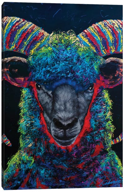 Black Sheep Canvas Art Print - Sheep Art