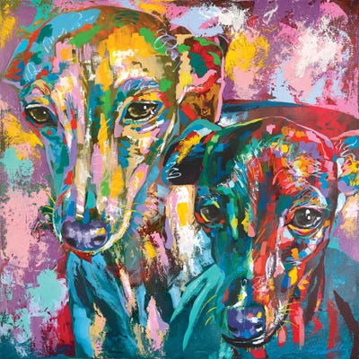 Italian Greyhound 07 by Tadaomi Kawasaki framed wall art