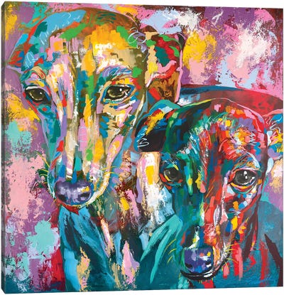 Italian Greyhound 07 Canvas Art Print - Italian Greyhounds