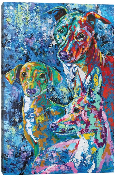 Italian Greyhound XI Canvas Art Print - Italian Greyhounds