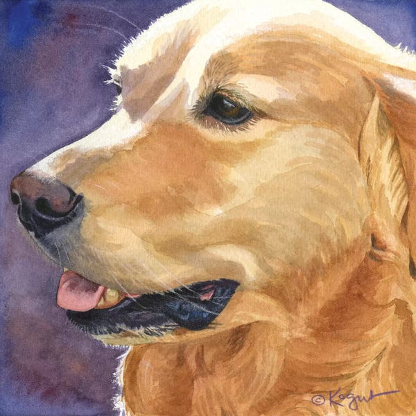 Golden Retrievers: Maggie by Teresa Kogut
