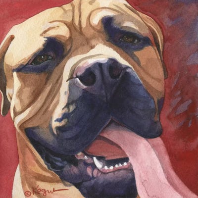 Oscar by Teresa Kogut canvas print