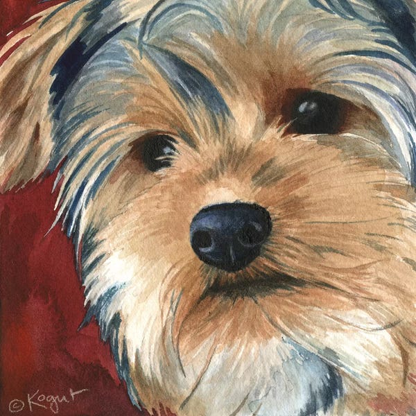 Teresa Kogut: Sasha The Yorkie by Teresa Kogut