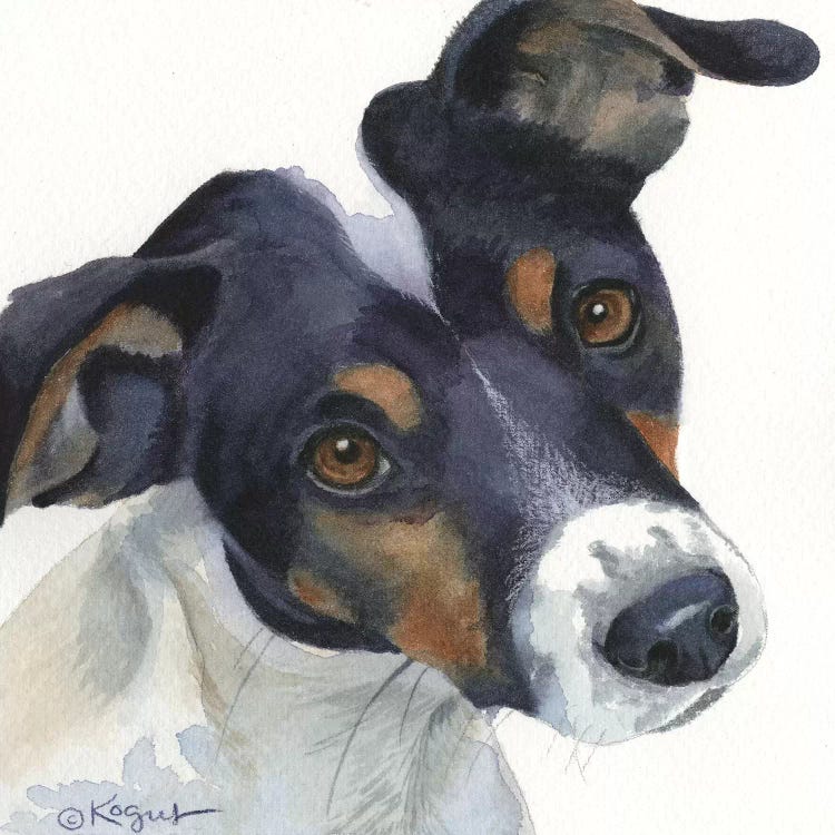 Spatz by Teresa Kogut wall art