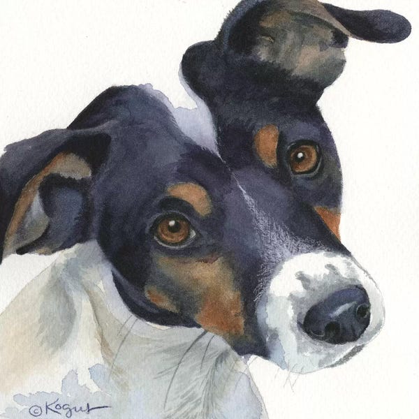 Jack Russell Terriers: Spatz by Teresa Kogut