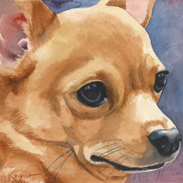 Chihuahuas: Taco by Teresa Kogut