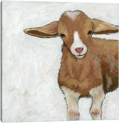 Tilly Goat Canvas Art Print - Goat Art
