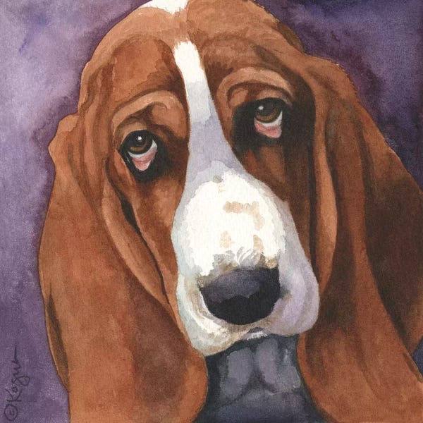 Basset Hounds: Toby by Teresa Kogut