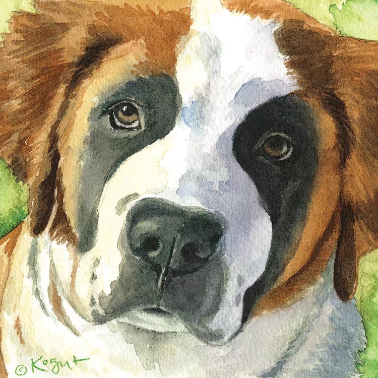 Bailey The Bernard by Teresa Kogut wall art