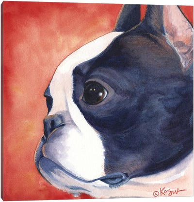 Bandit Boston Terrier Canvas Art Print - Teresa Kogut