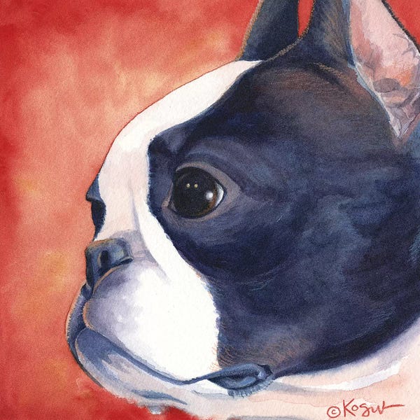 Boston Terriers: Bandit Boston Terrier by Teresa Kogut