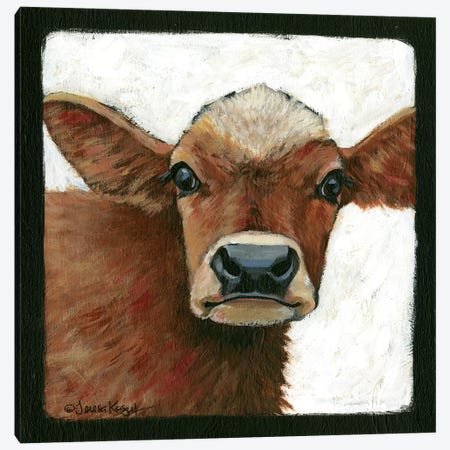 Bella Cow Canvas Print #TKG22} by Teresa Kogut Canvas Print