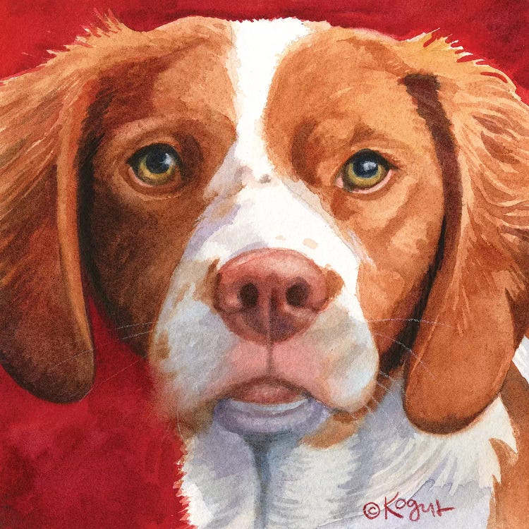 Bella The Brittany by Teresa Kogut wall art