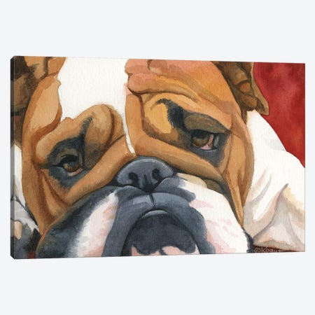 Bruiser The Bulldog Canvas Print #TKG27} by Teresa Kogut Canvas Wall Art