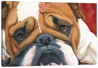 Bruiser The Bulldog Canvas Art Print - Teresa Kogut