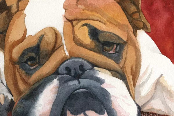 Teresa Kogut: Bruiser The Bulldog by Teresa Kogut