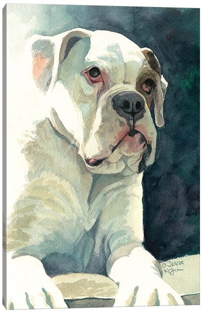 Buster Canvas Art Print - American Bulldogs