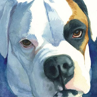 Buster by Teresa Kogut canvas print