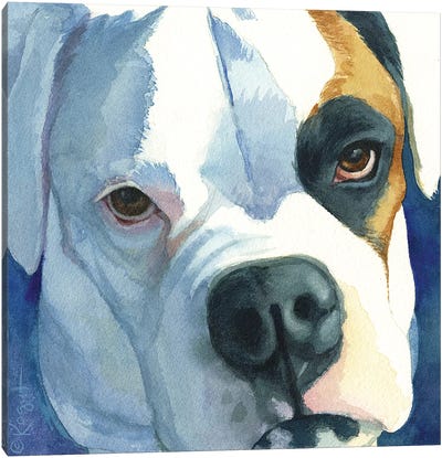 Buster Canvas Art Print - Pit Bull Art