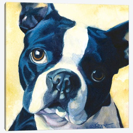 Chumly Boston Terrier Canvas Print #TKG38} by Teresa Kogut Canvas Wall Art
