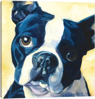 Chumly Boston Terrier Canvas Art Print - Boston Terrier Art