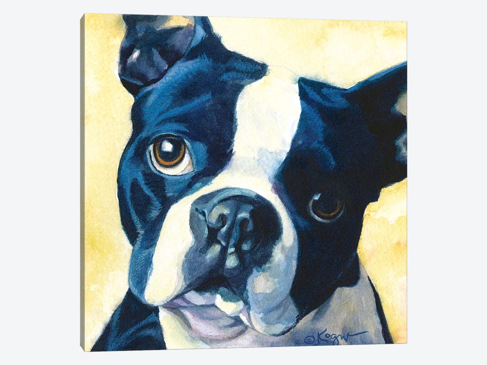 Chumly Boston Terrier by Teresa Kogut 1-piece Canvas Art Print