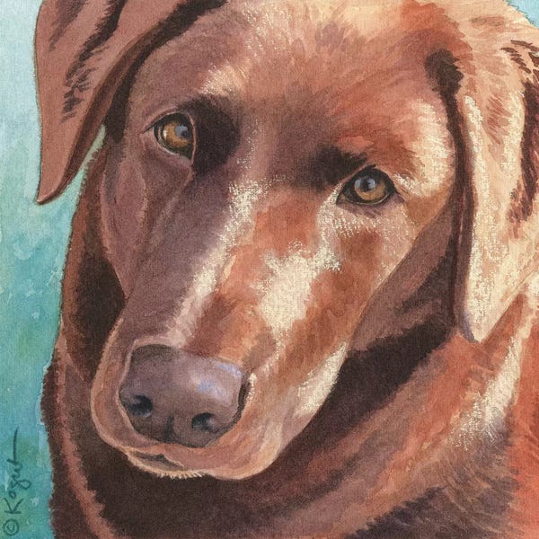 Labrador Retrievers: Daisy by Teresa Kogut