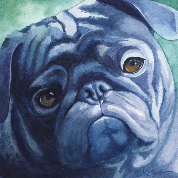 Teresa Kogut: Duncan by Teresa Kogut
