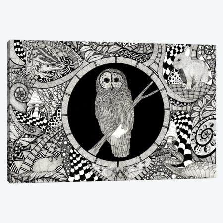Night Garden - Owl Canvas Print #TKH100} by Terri Kelleher Canvas Print