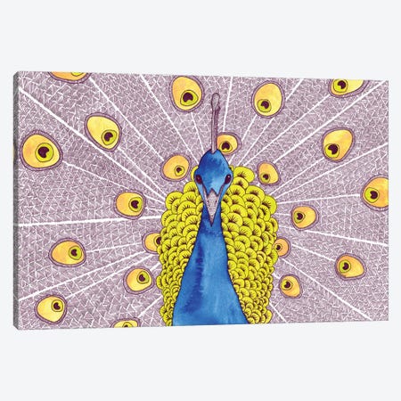 Peacock Canvas Print #TKH107} by Terri Kelleher Canvas Artwork