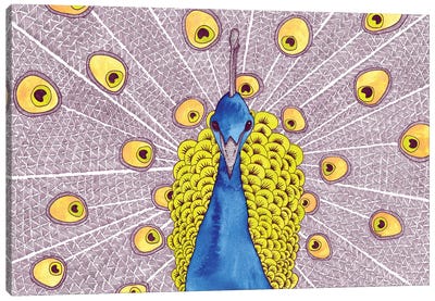 Peacock Canvas Art Print - Terri Kelleher