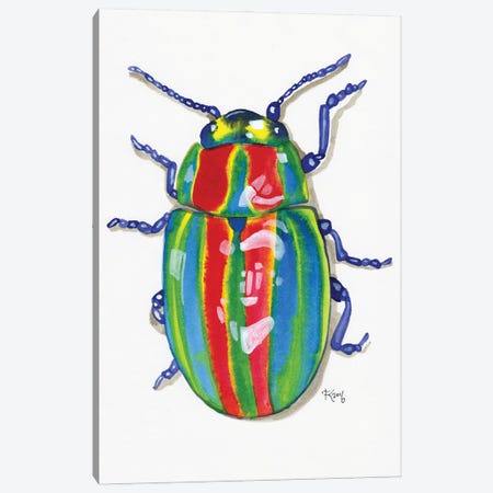 Rainbow Bug Canvas Print #TKH116} by Terri Kelleher Canvas Art Print