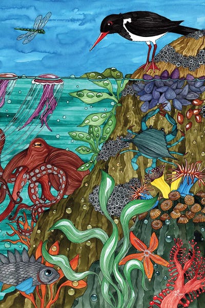 Rocky Shore by Terri Kelleher art print