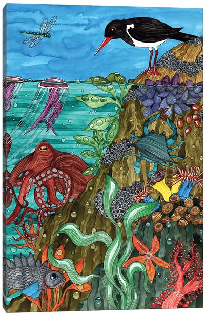 Rocky Shore Canvas Art Print - Ocean Treasures