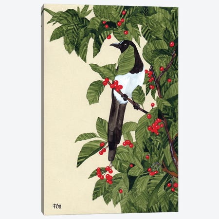 Sabrina's Magpie Canvas Print #TKH123} by Terri Kelleher Art Print