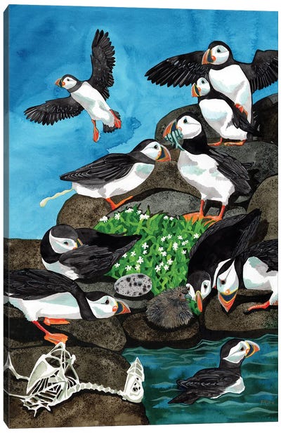 Survival Of The Puffest Canvas Art Print - Puffins